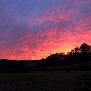 Meet your Posher, Gracie